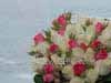 Fotos de Decora��o de Casamento