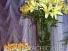 Fotos de Decora��o de Casamento
